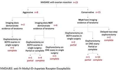 Ovarian resection in anti-N-methyl-D-aspartate receptor encephalitis: A comparison of surgical approaches